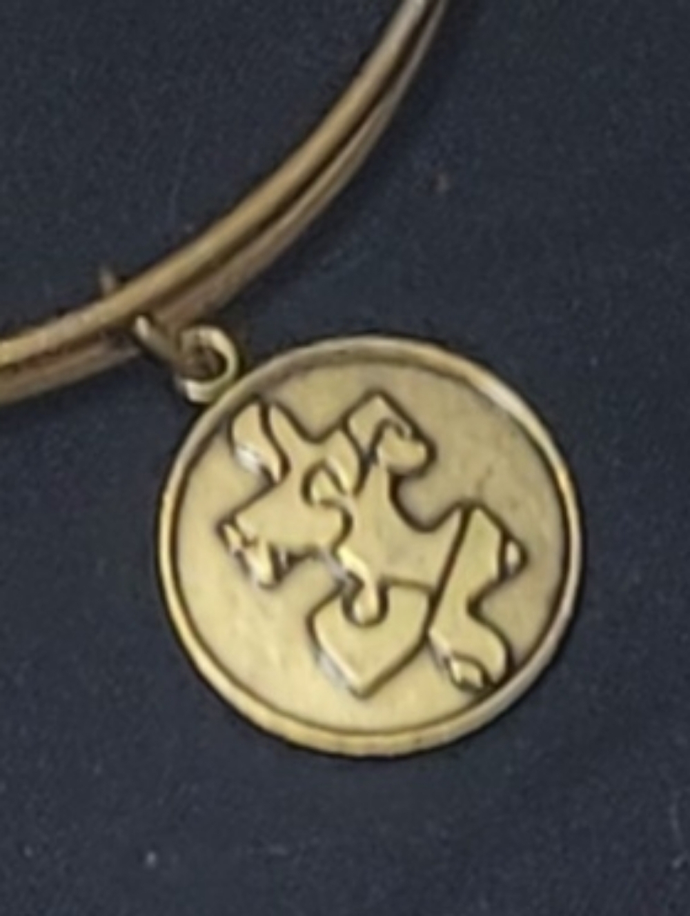Alex & Ani $28 Autism Charm Gold Tone Bracelet With Bag